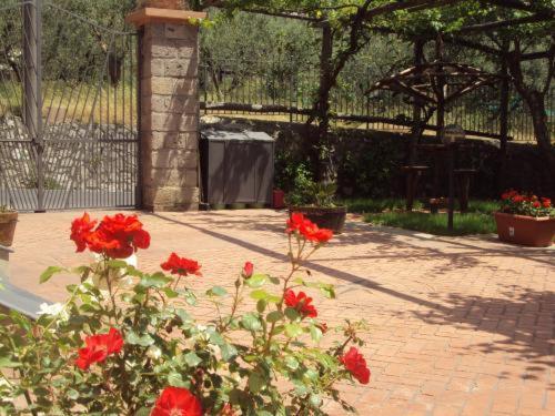 Bed and Breakfast Bellaria Relais Piano di Sorrento Exteriér fotografie